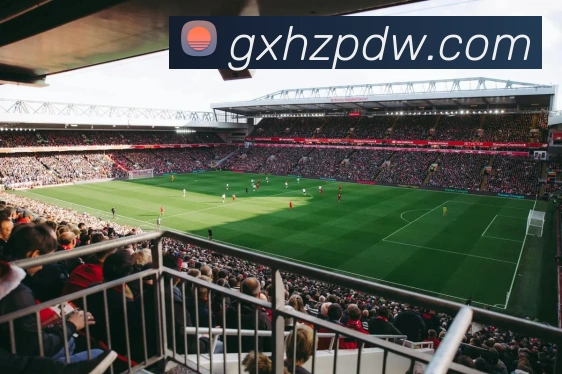 华体会体育品牌故事